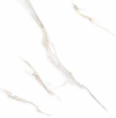 PLATINUM 80X80 WB POLAND GREY FACE B